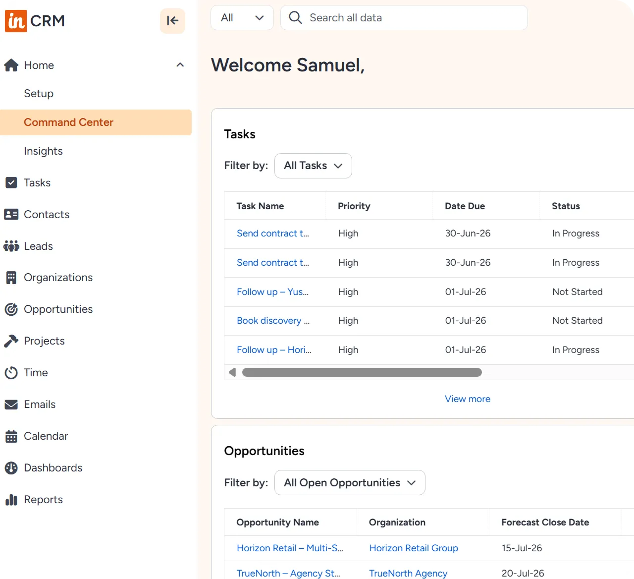 Insightly interface