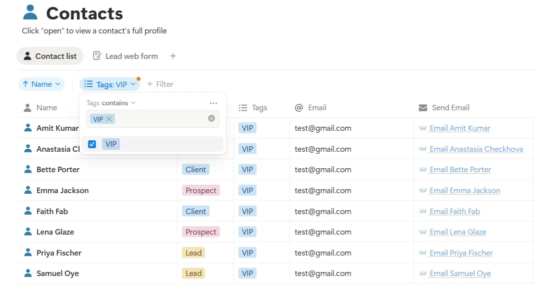 segment contacts in notion crm template