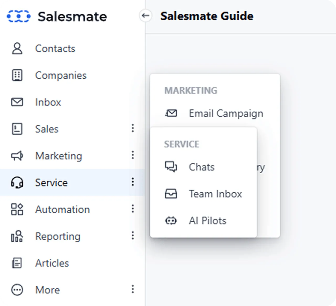 Salesmate interface