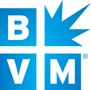 Best Version Media