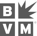 Best Version Media