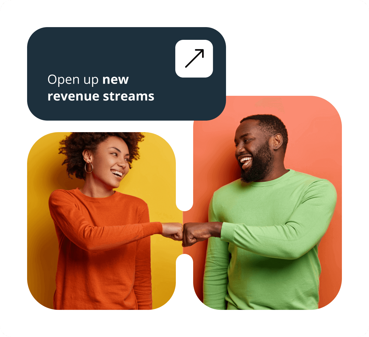 channel partner program