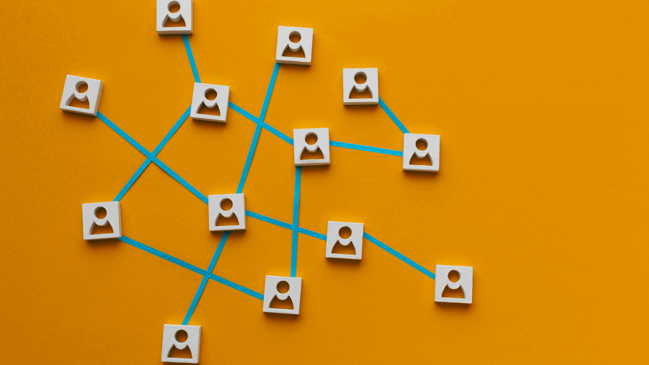 how to organize leads in sales