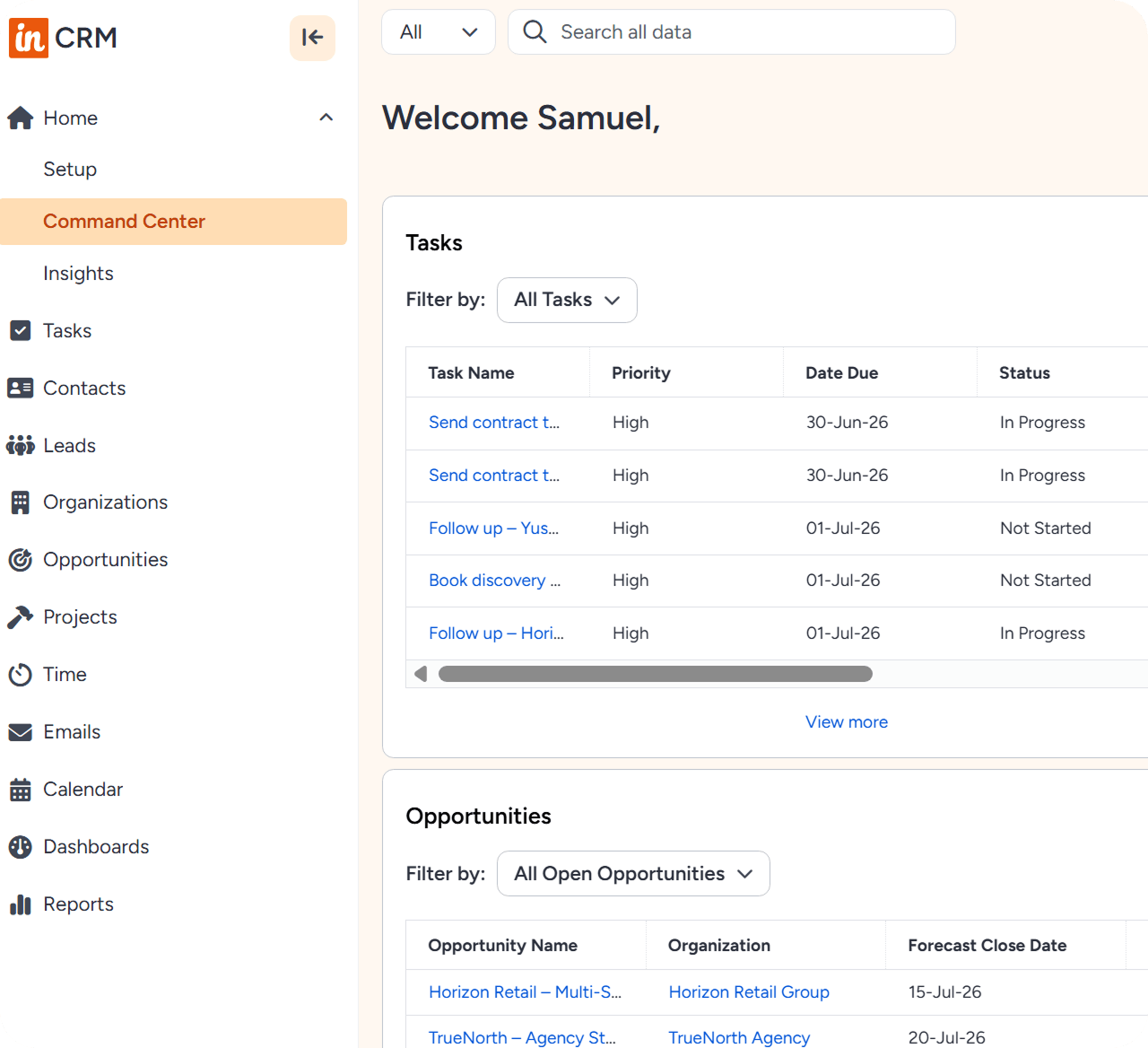 Insightly interface