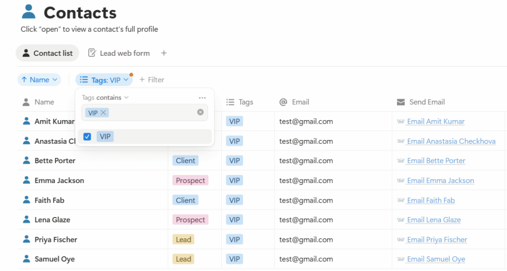 segment contacts in notion crm template
