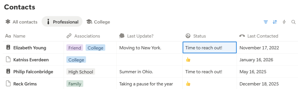 personal notion crm professional tab