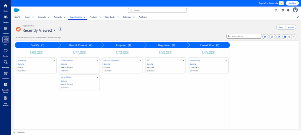 salesforce crm opportunities pipeline