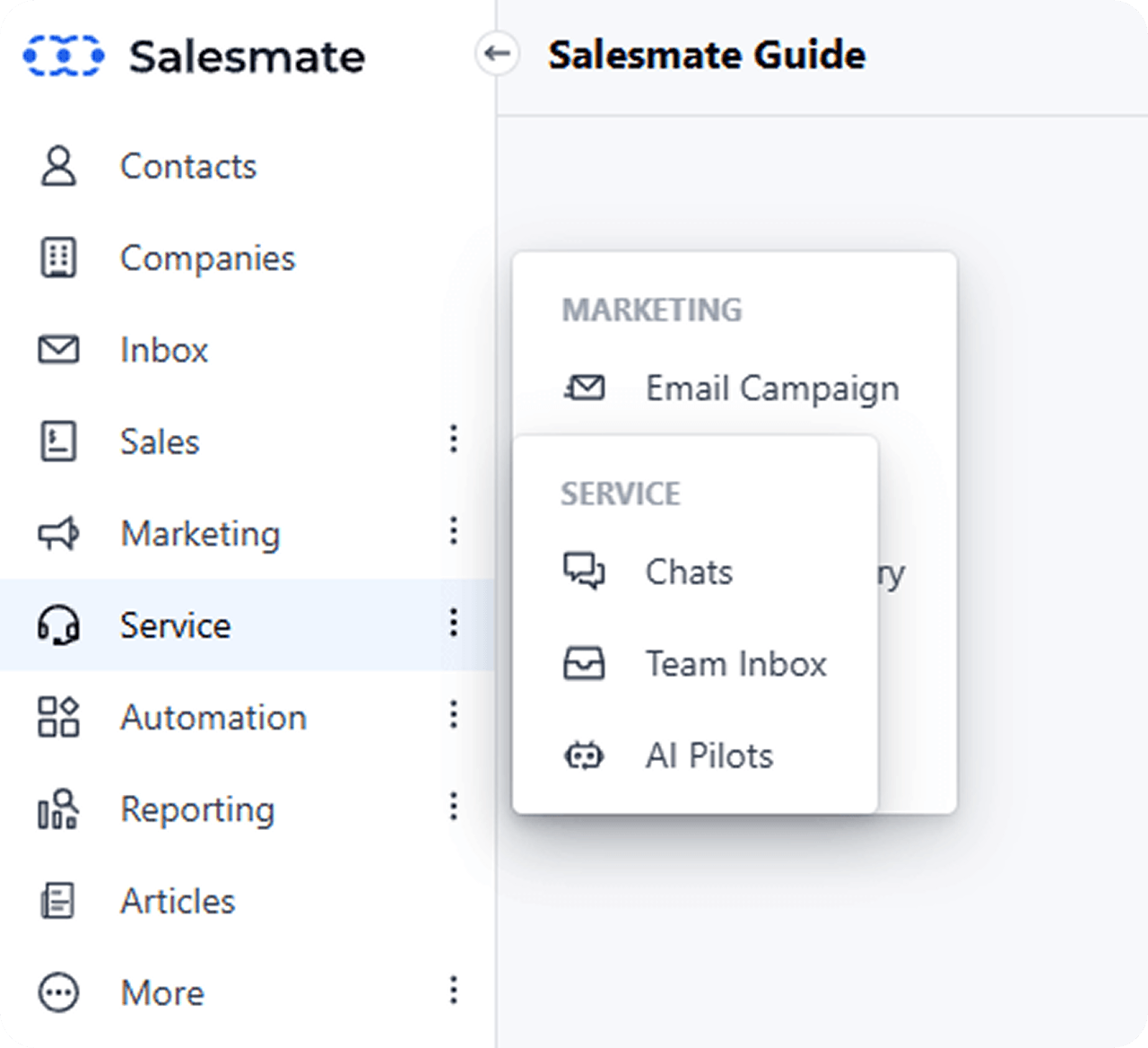 Salesmate interface
